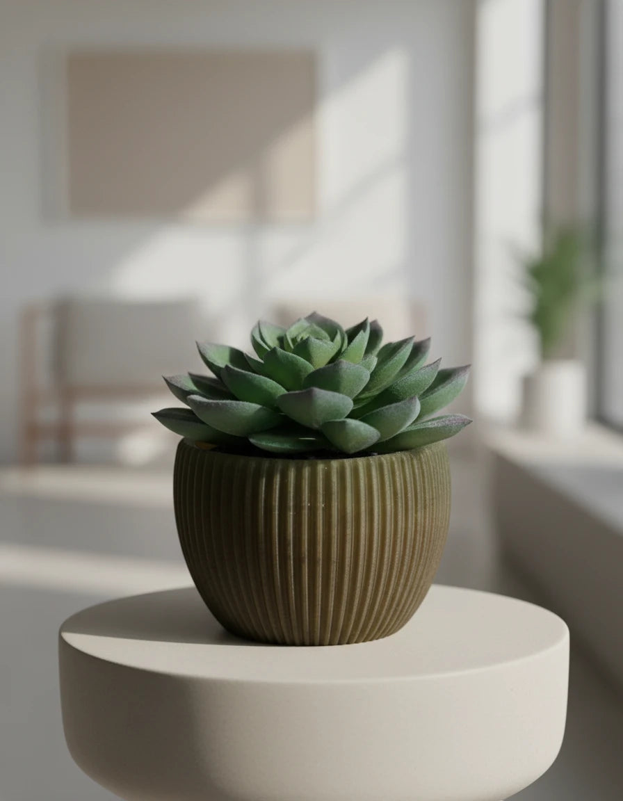 tundra · planter