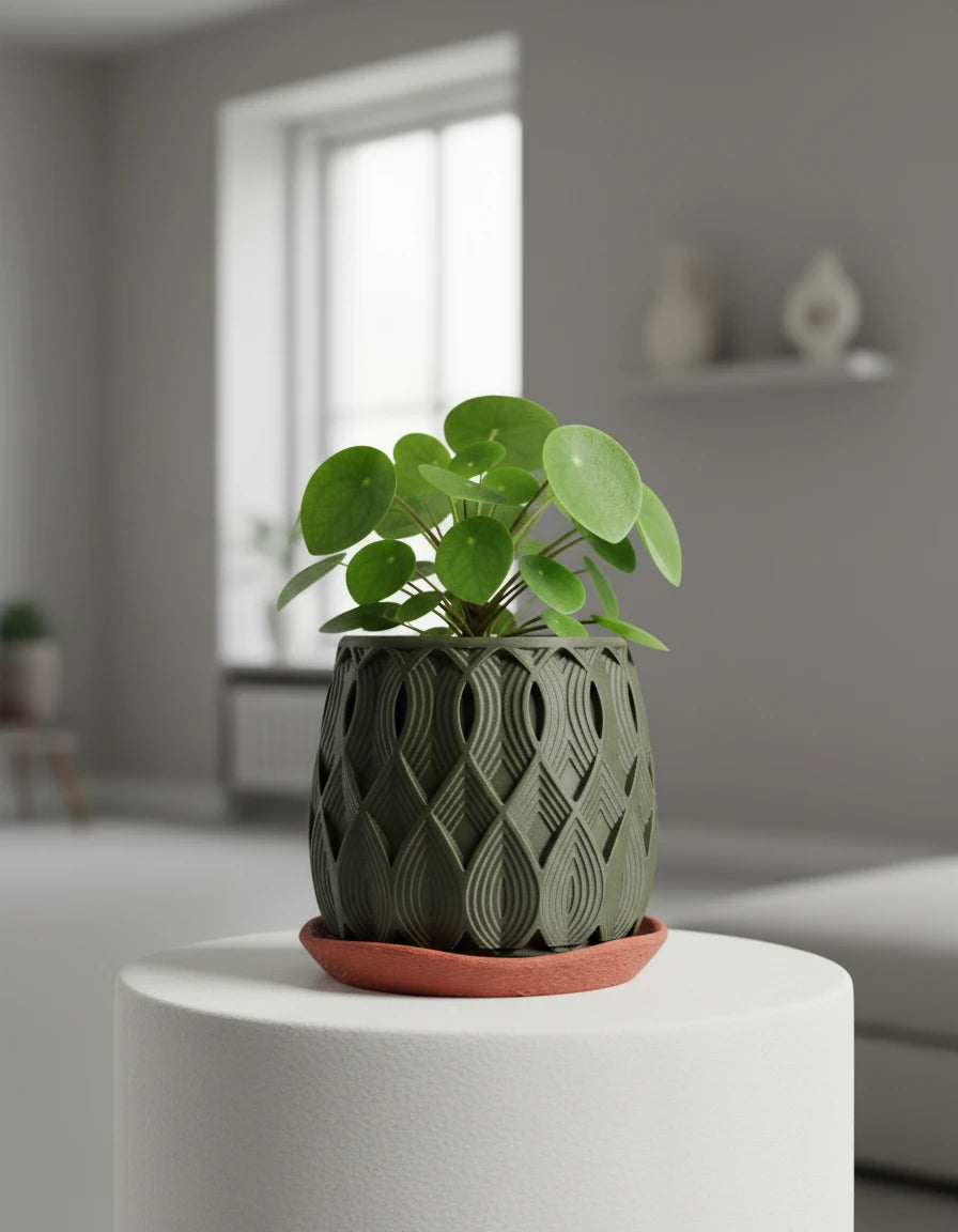 salir • planter