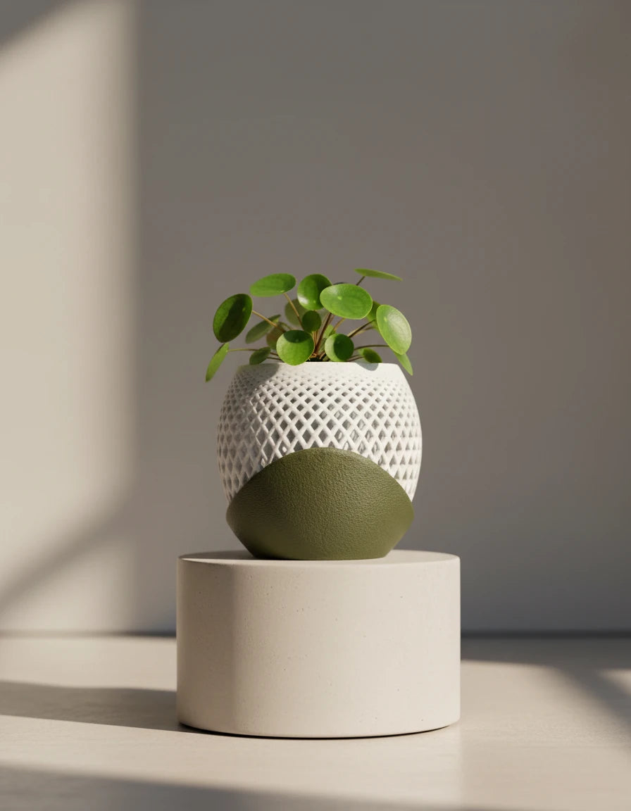 polygon · orchid planter