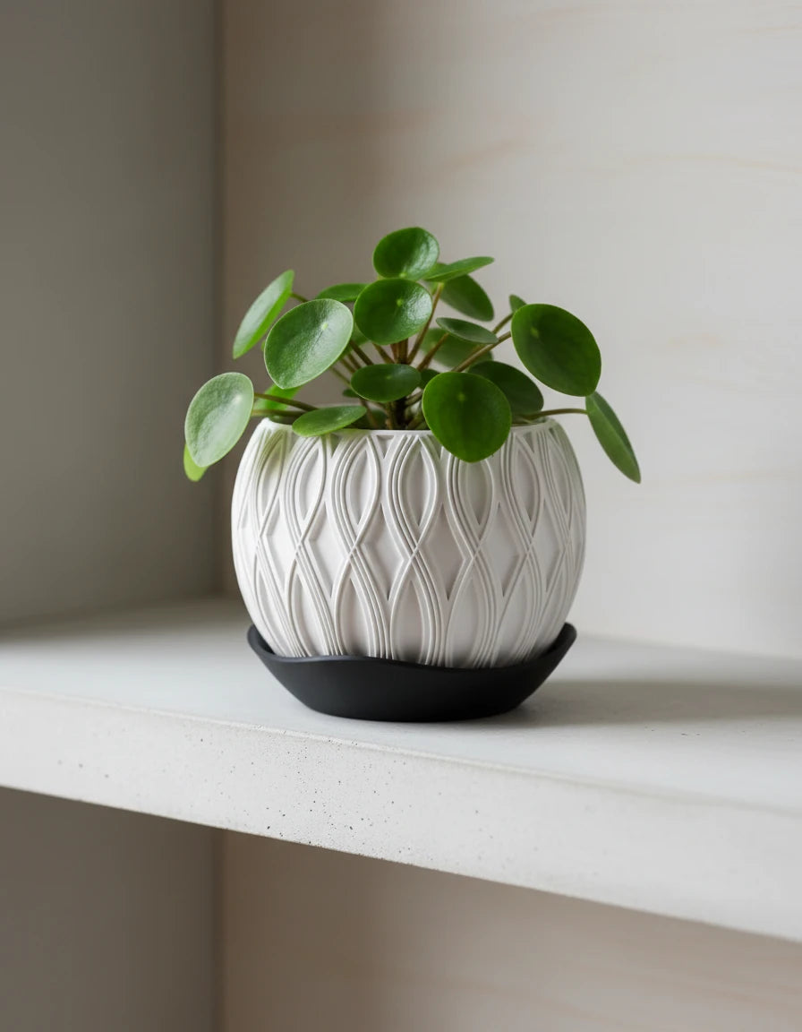 velar • planter