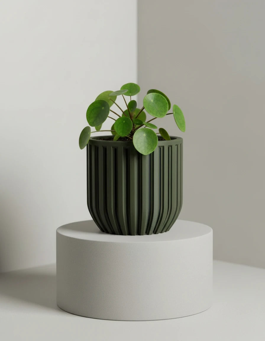 echoic · planter