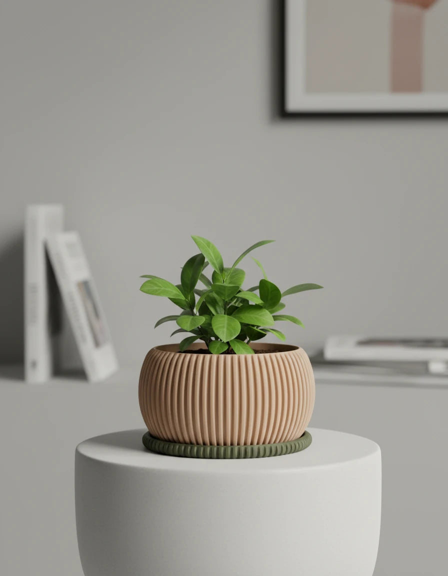 zephyr · bonsai planter