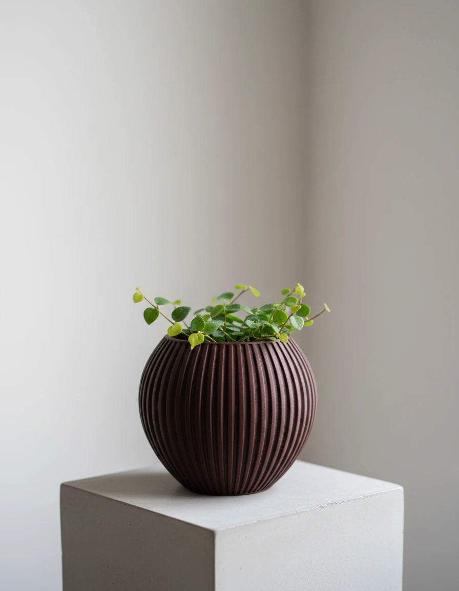 zenith • planter