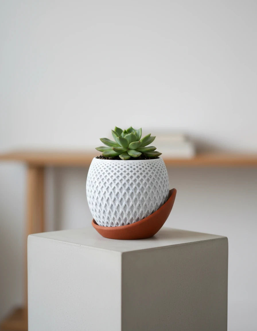 polygon planter · wrap around plate
