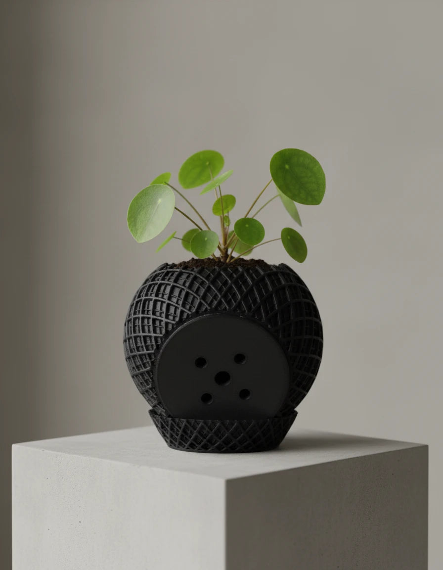 spectrum • planter