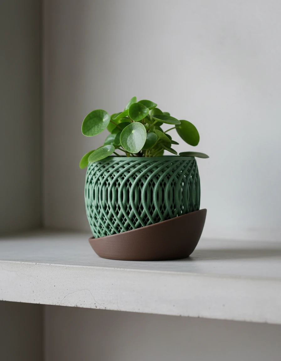 quasar · orchid planter