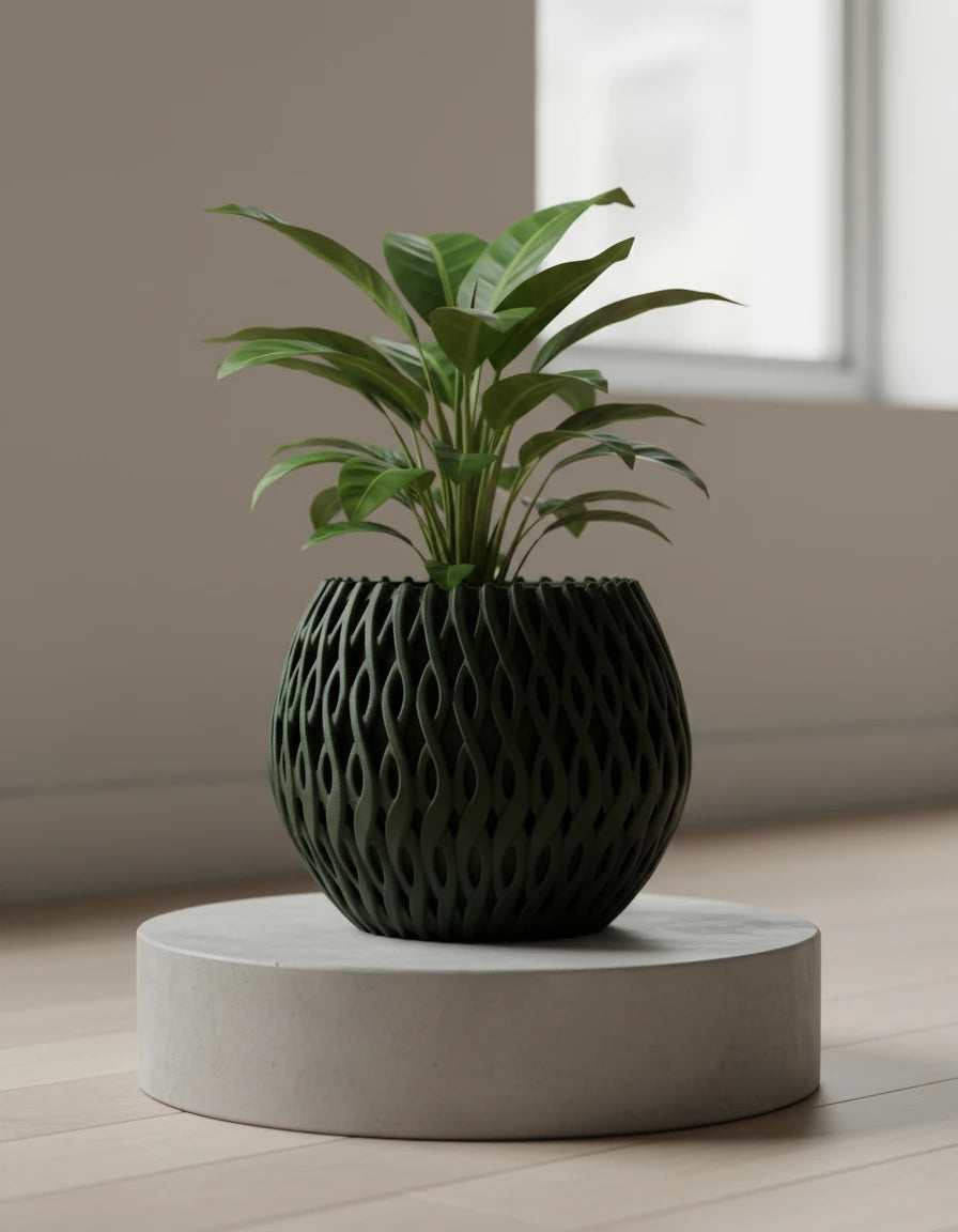 briosi • planter