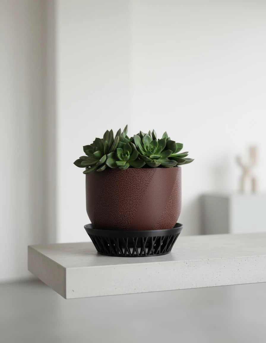 havenis • planter