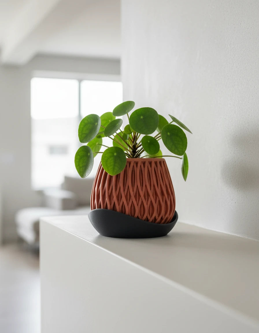 alvao • planter