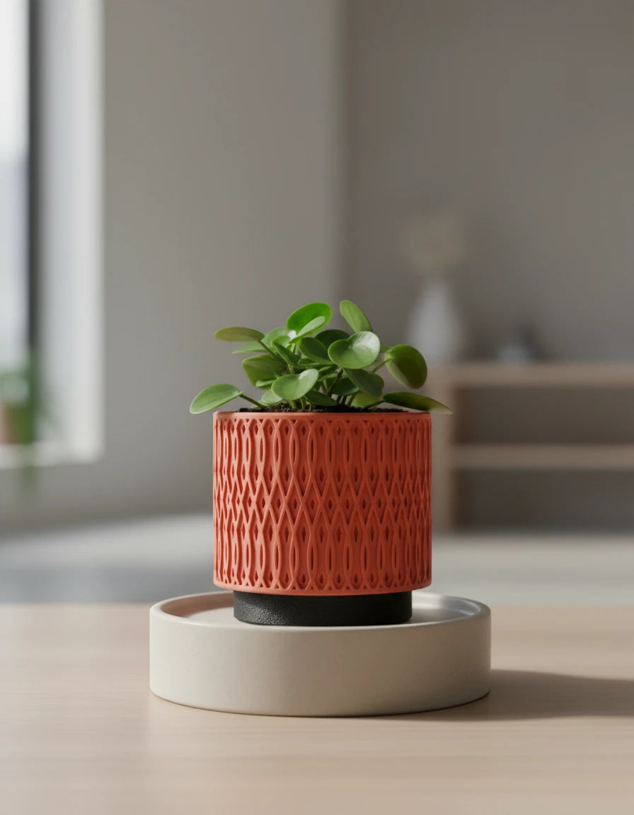 echelon · planter
