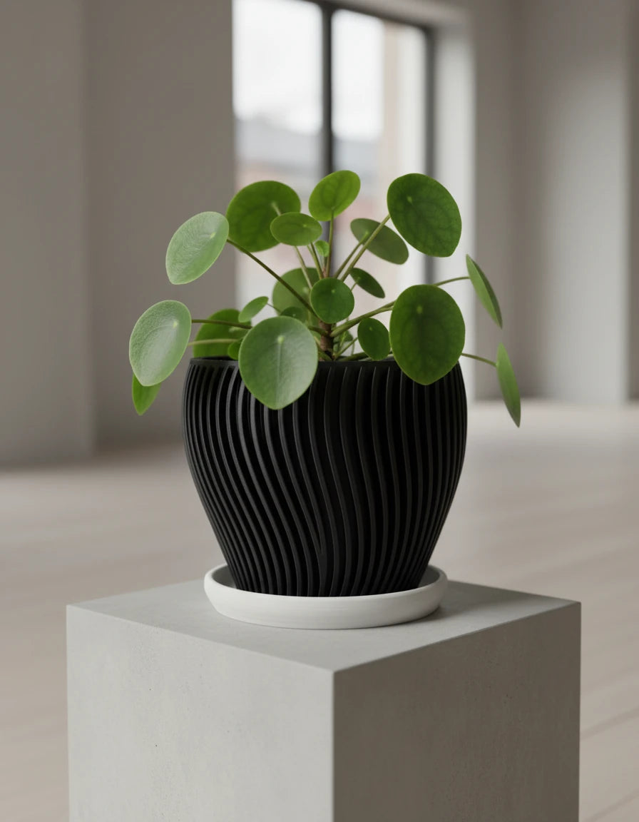 oblique · planter