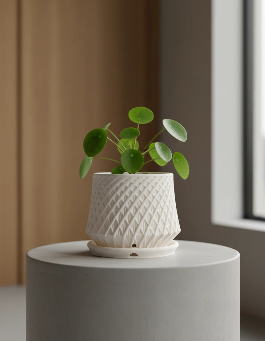 kairo · planter