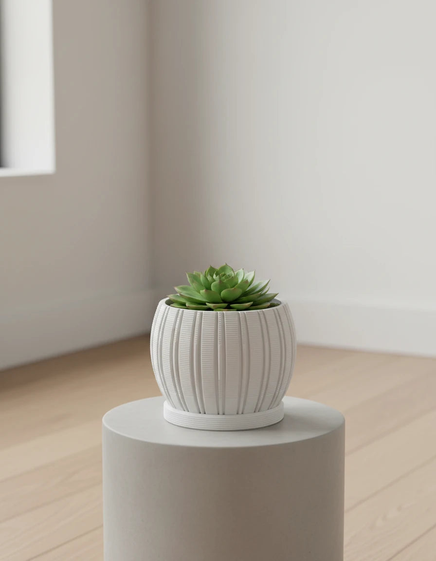stratum · planter