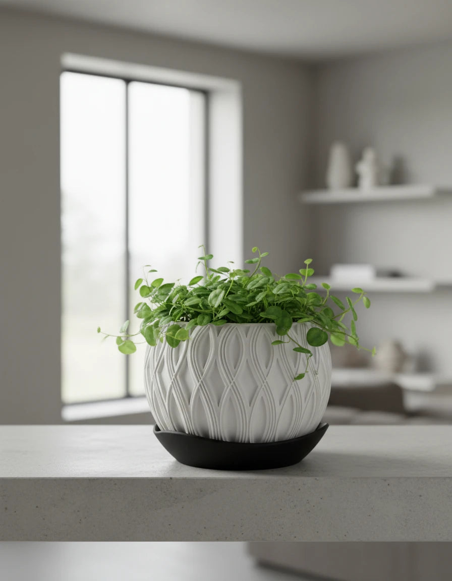 velar • planter