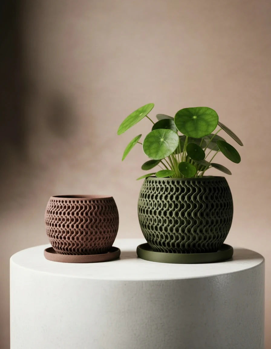 echo · planter