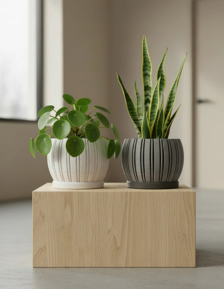 stratum · planter