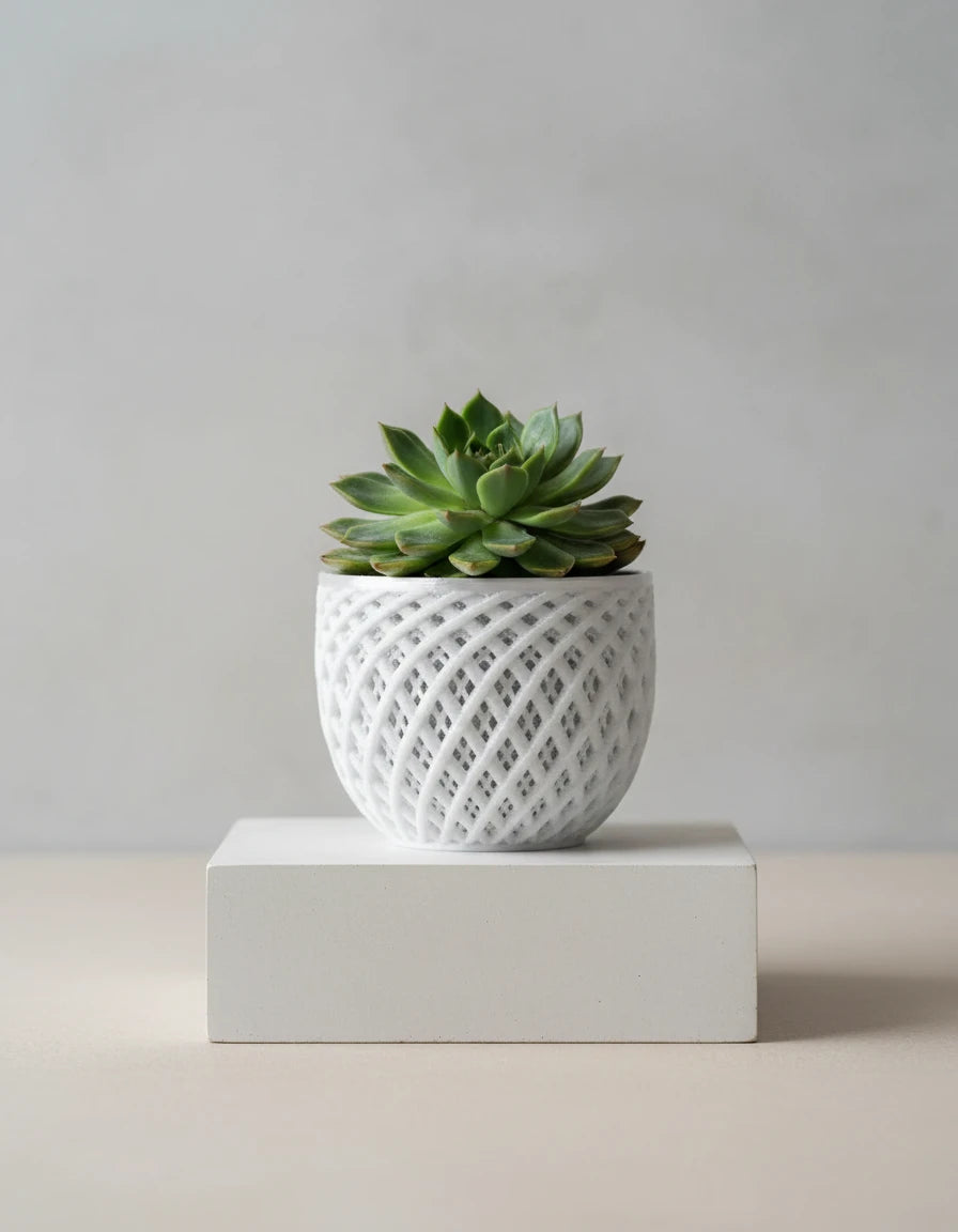 quasar · orchid planter