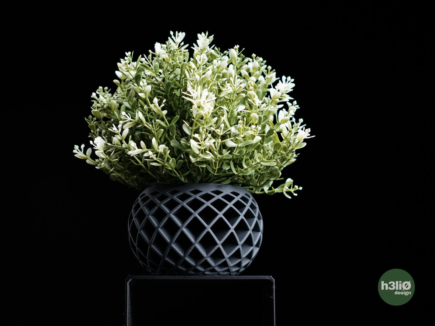 evolve • planter