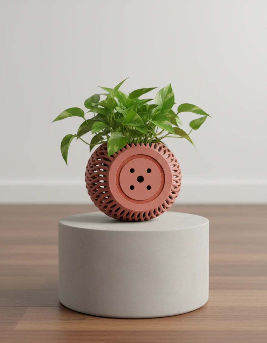briosi • planter