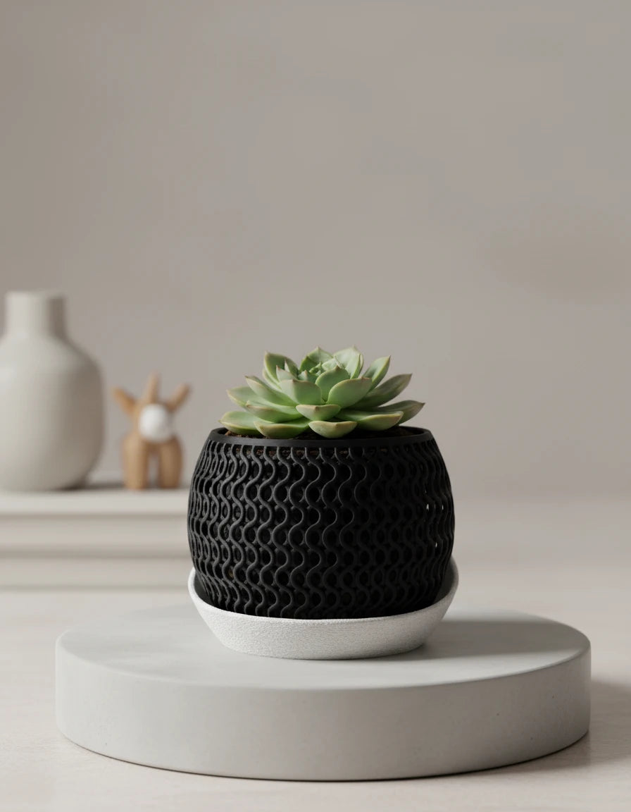 echo • orchid planter