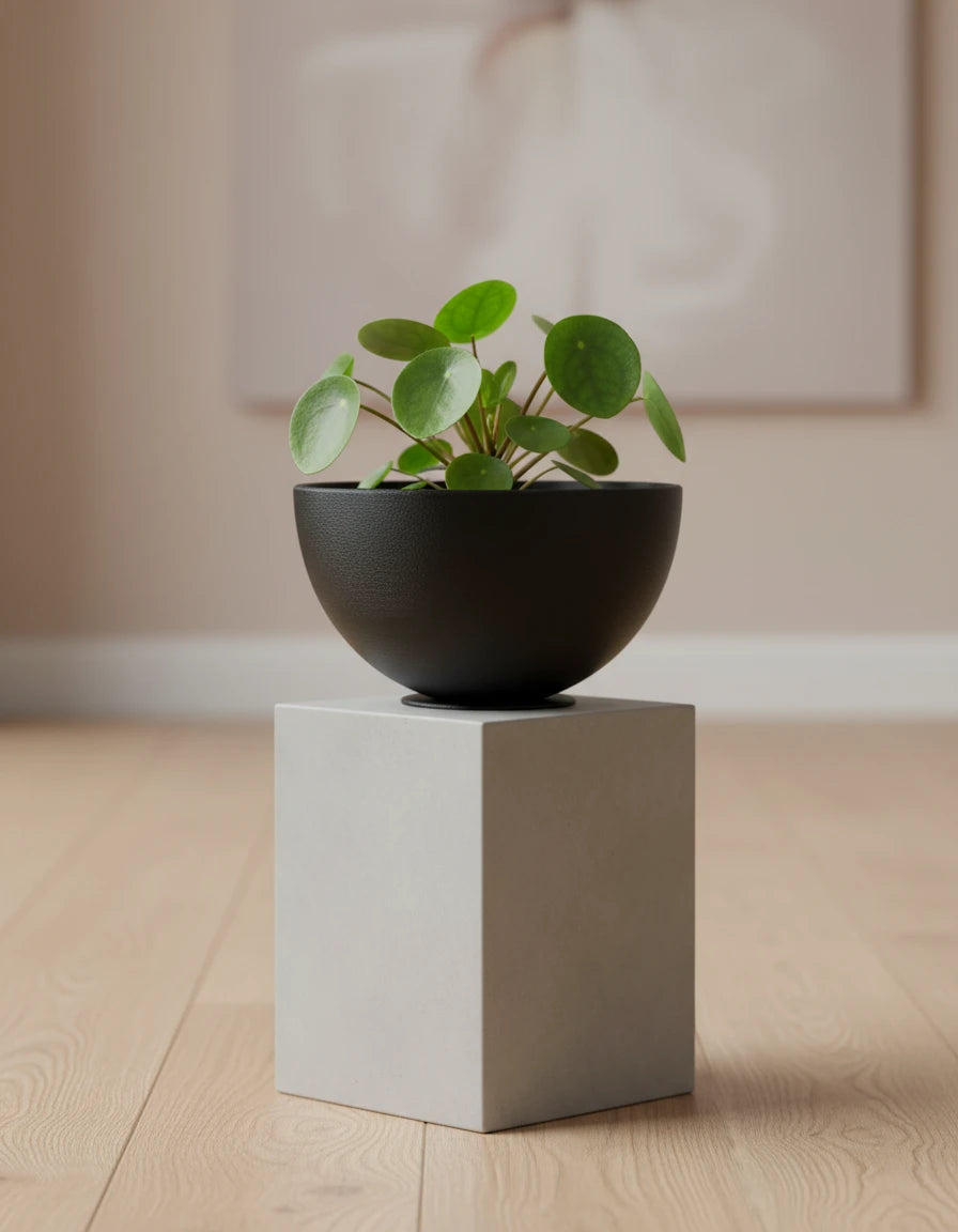 blaze • planter