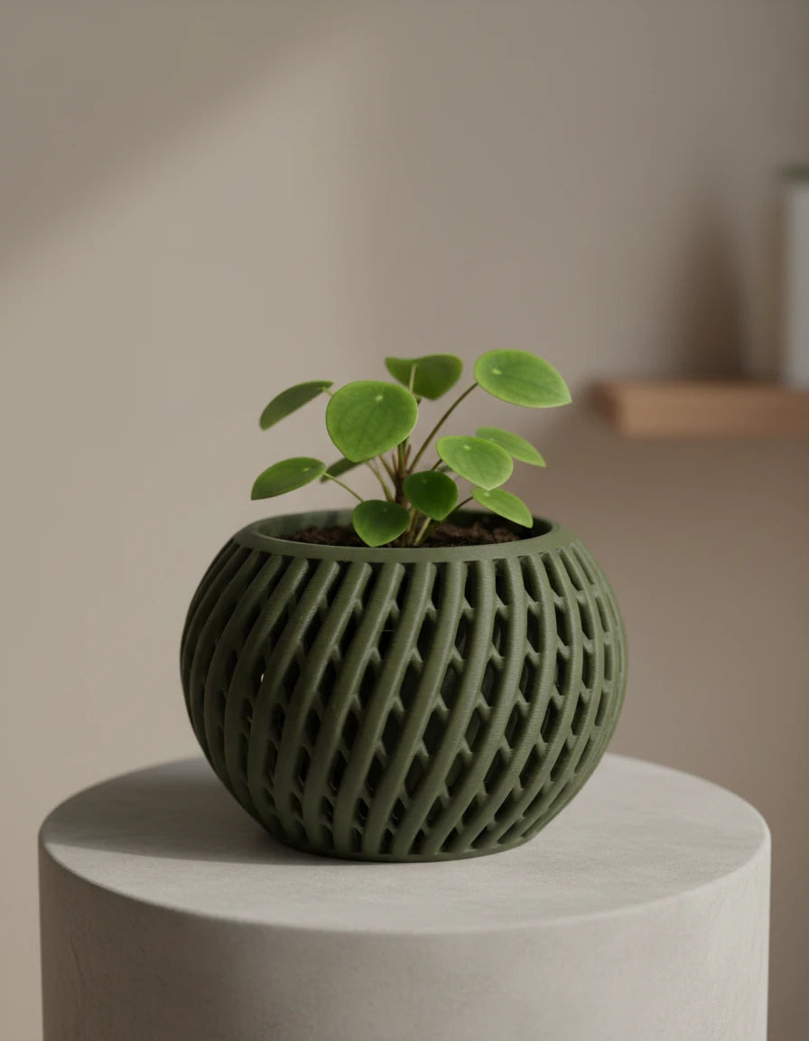 troia • planter