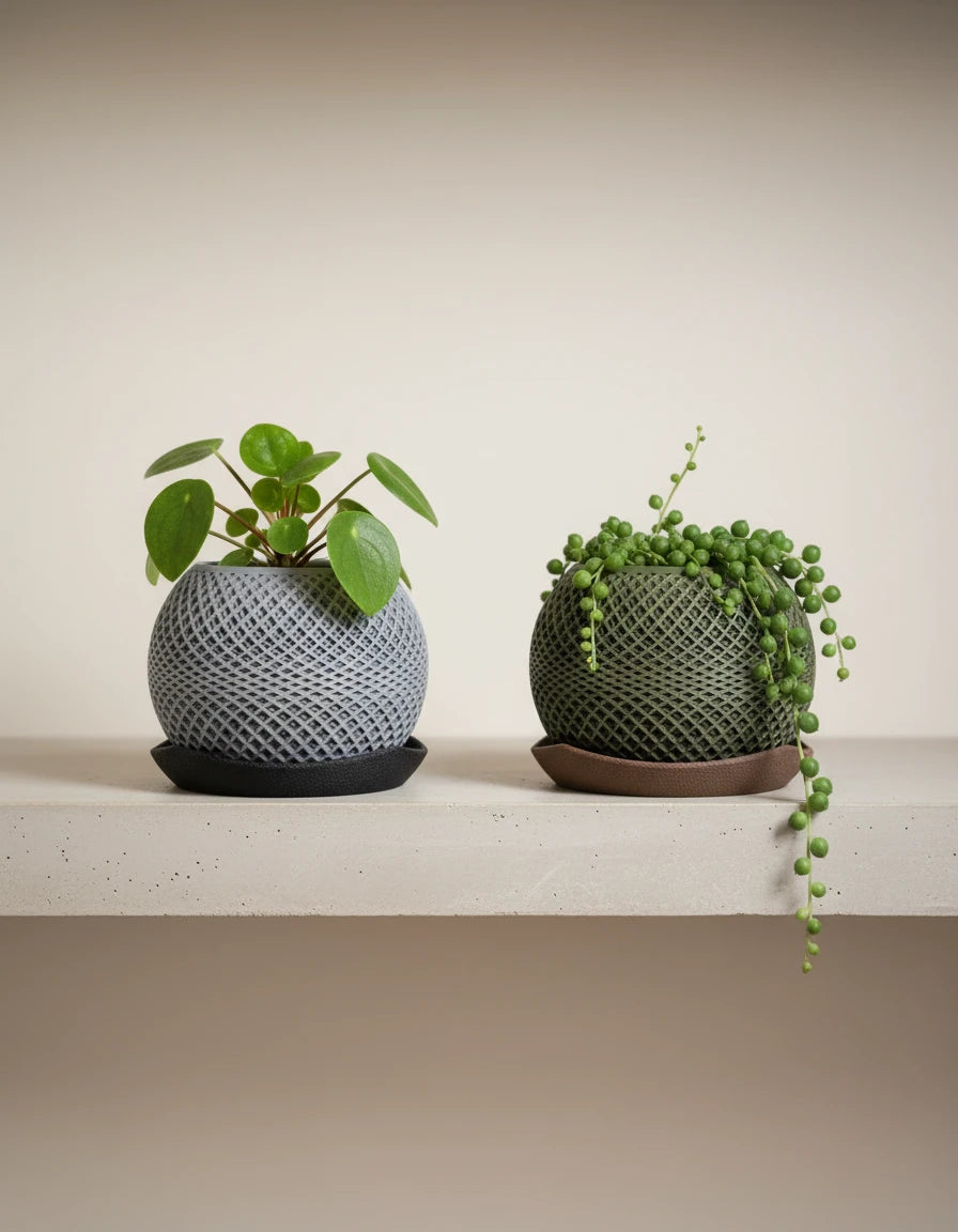 paragon · planter