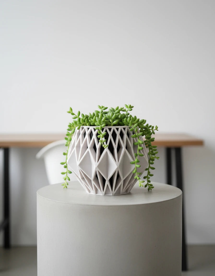 beja • planters