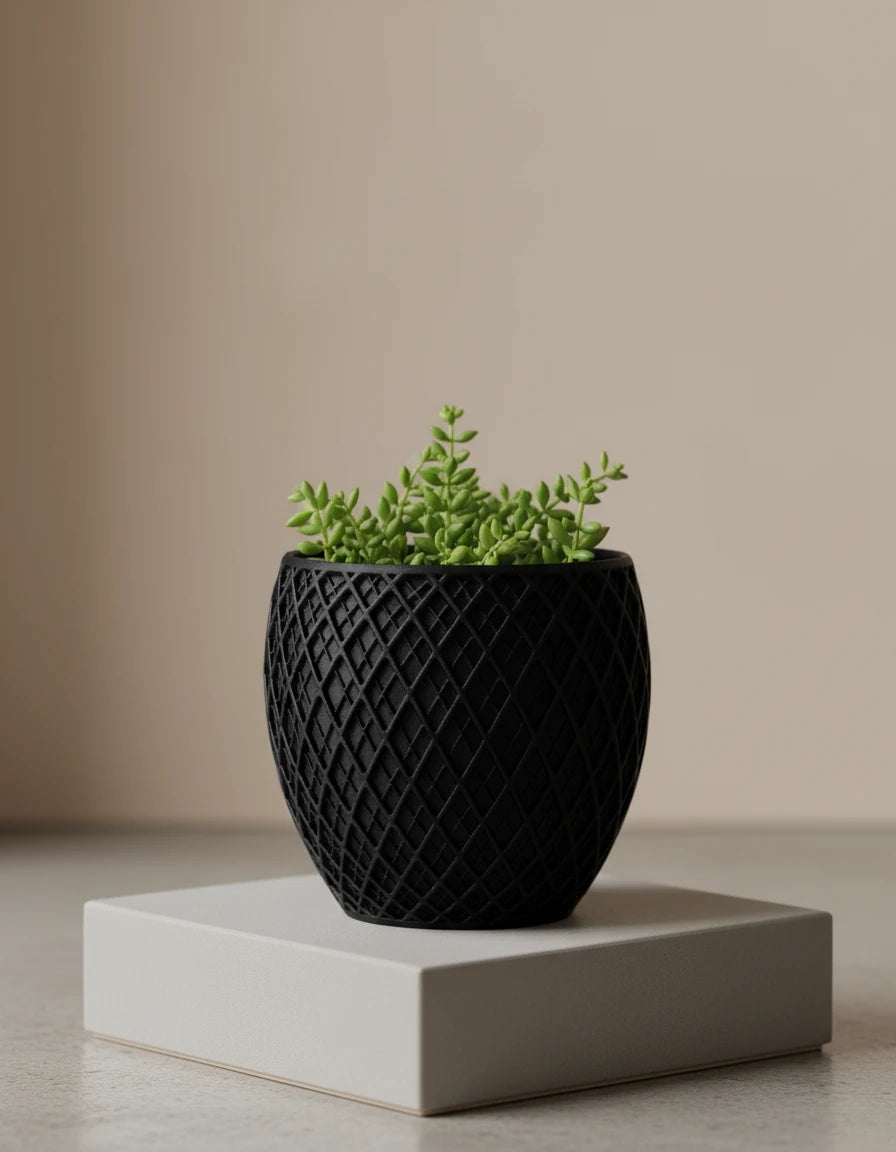 spectrum • planter