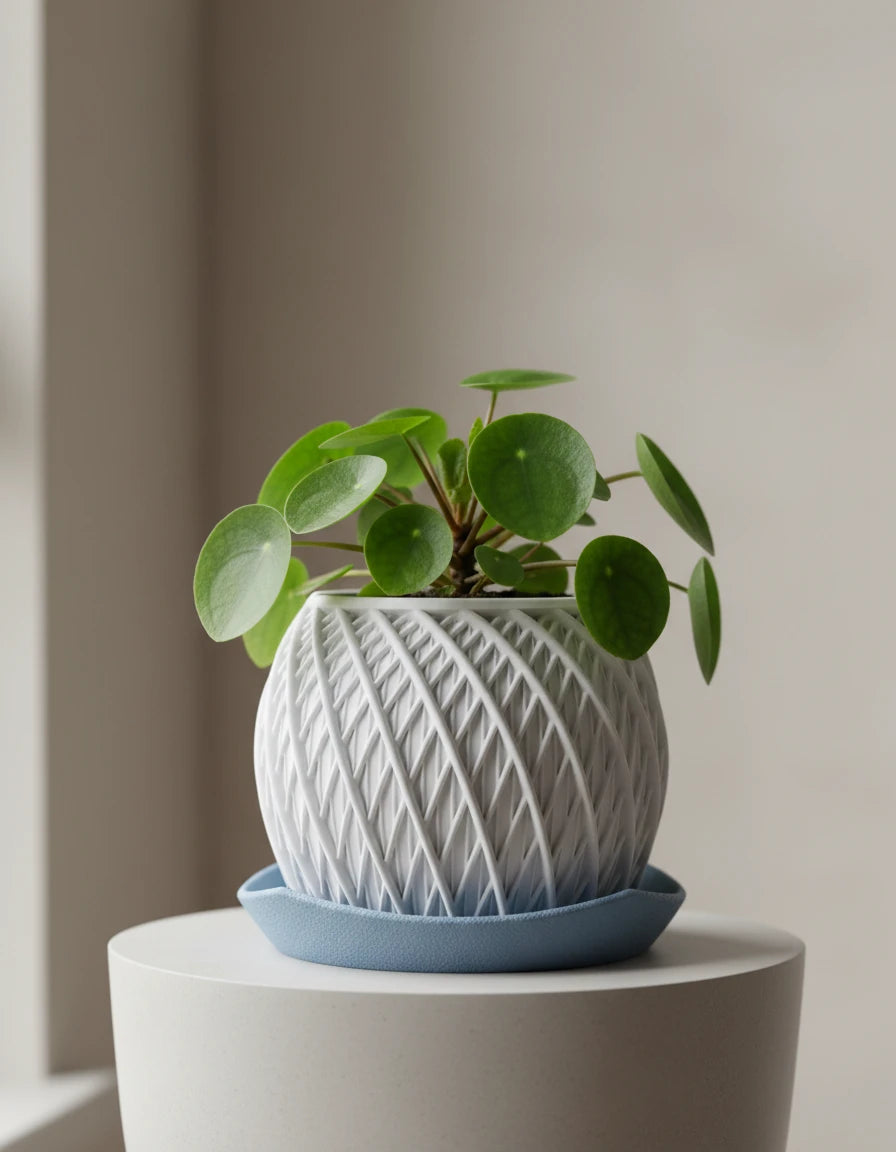 vortex · planter