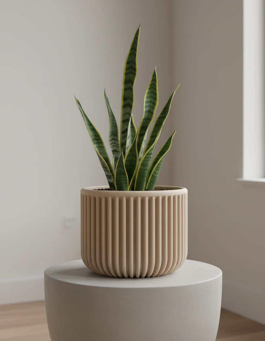 nisa • planters