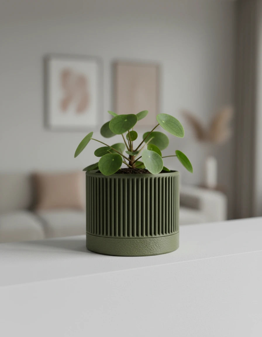 nisa • planters