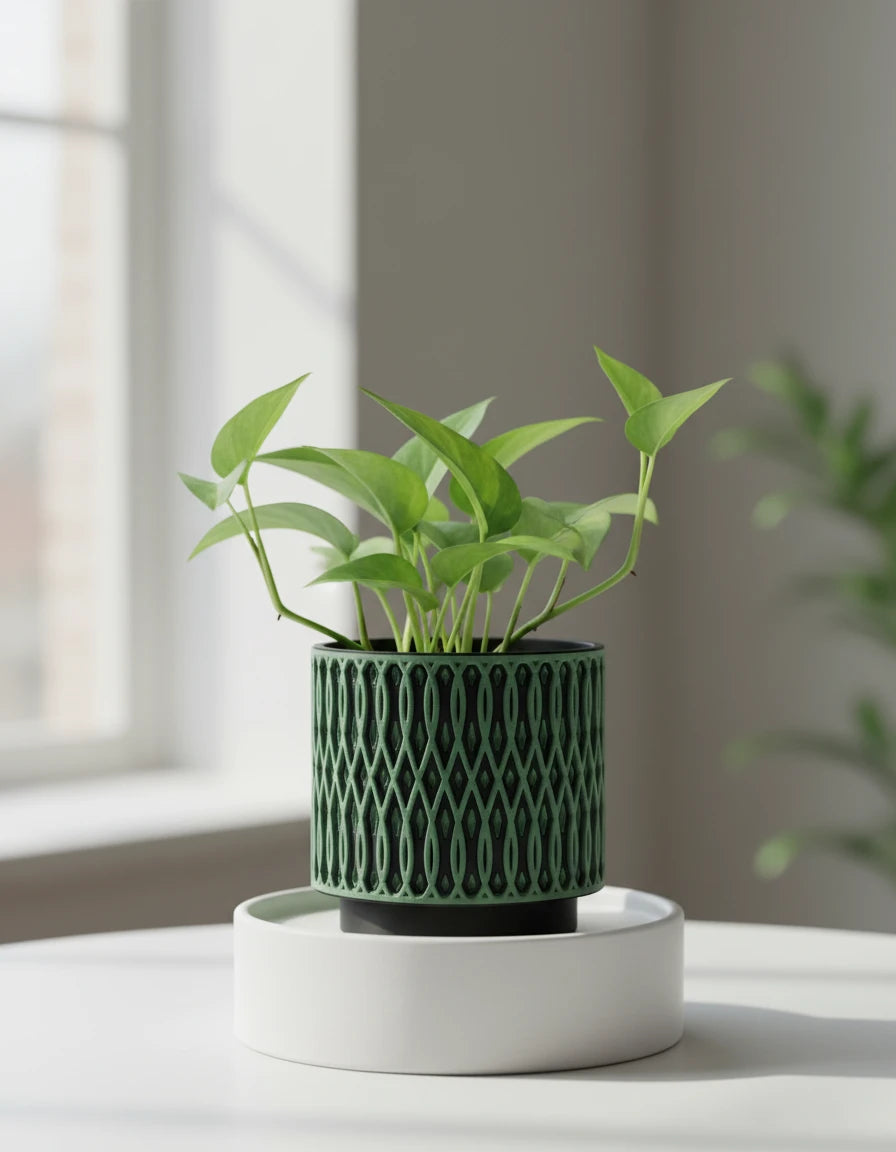 echelon · planter