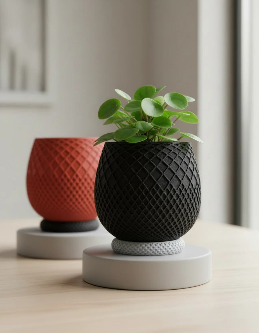 miro · planter