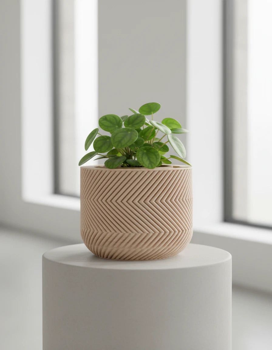 braga • planter