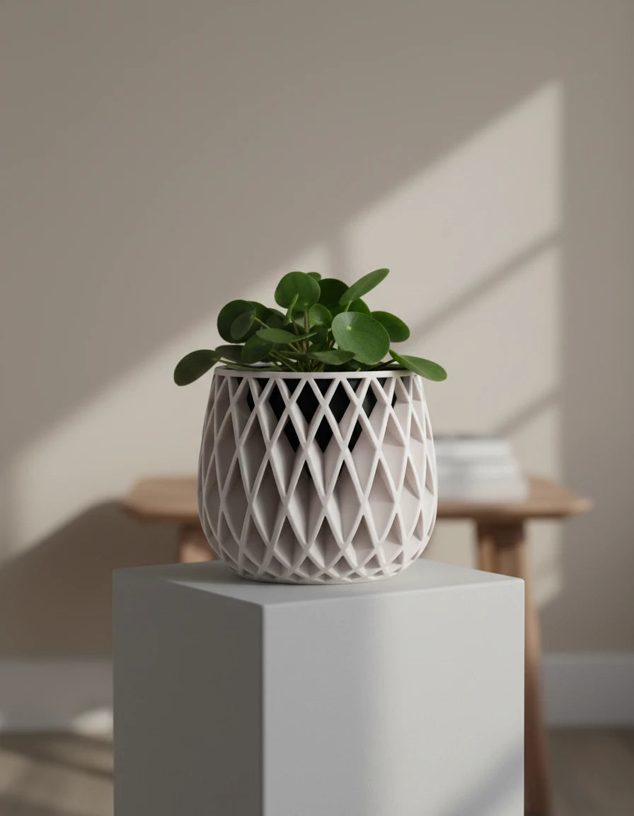 beja • planters