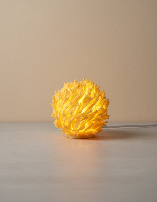 lumira-coral-size-reference