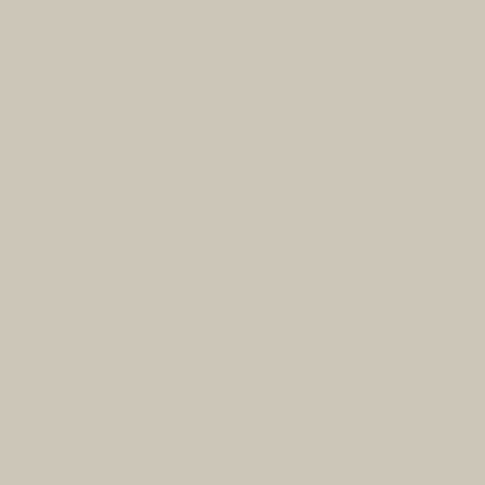 Matte Bone White