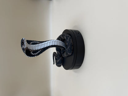 King Cobra (Ophiophagus hannah)