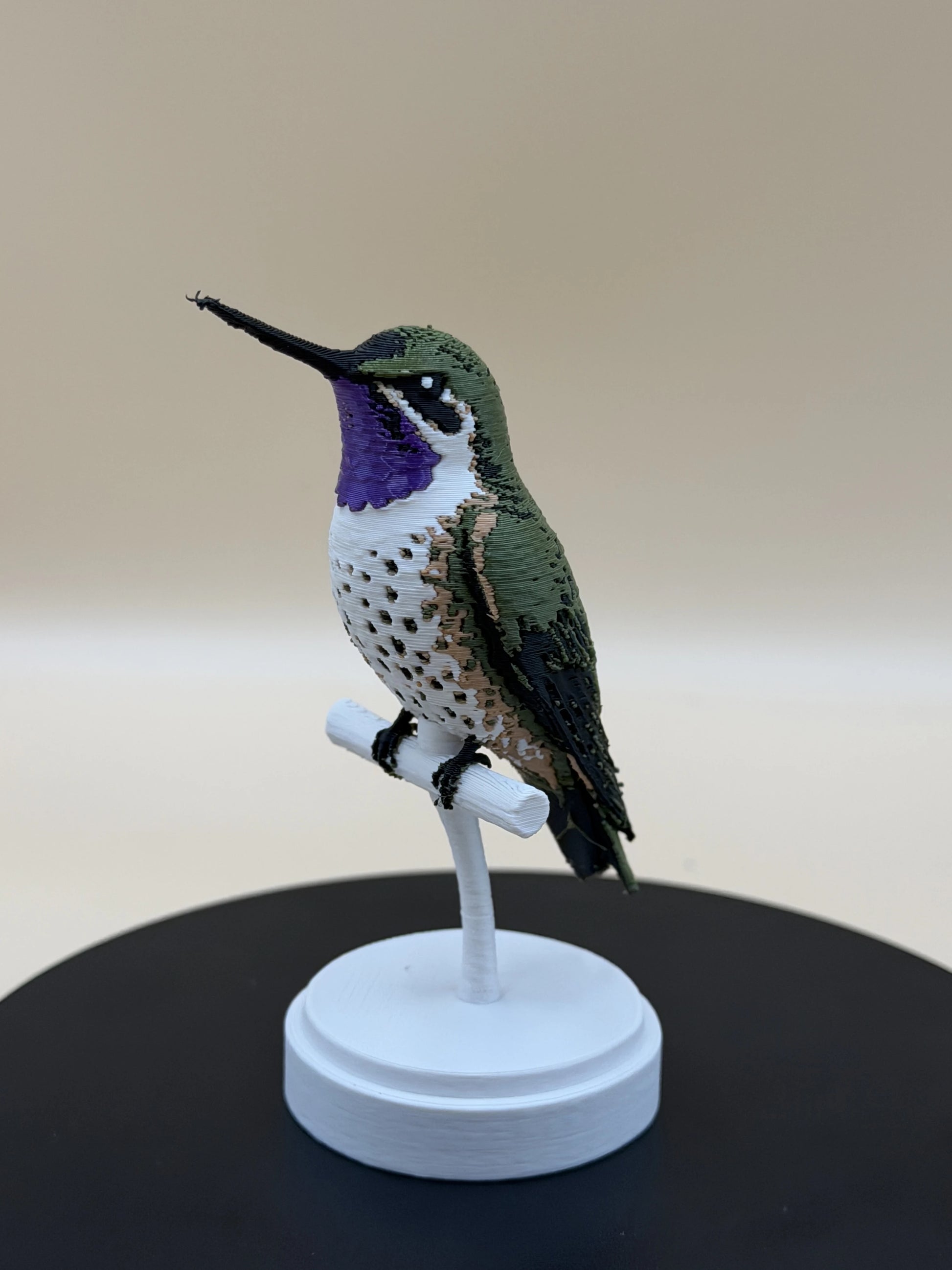 Kolibrík Chilean Woodstar