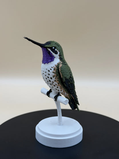 Kolibrík Chilean Woodstar