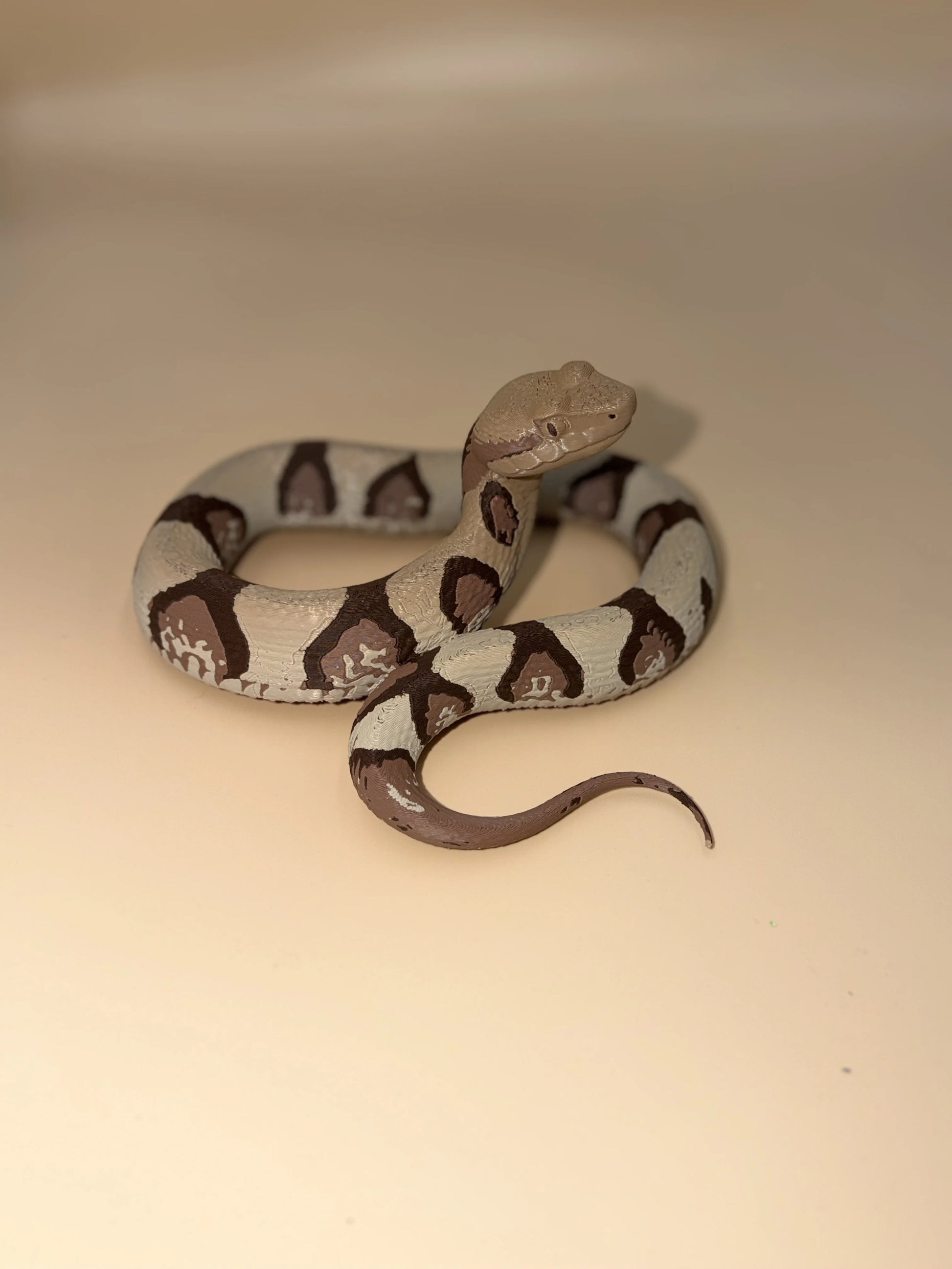 Copperhead Snake