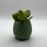 planter with zigzag pattern