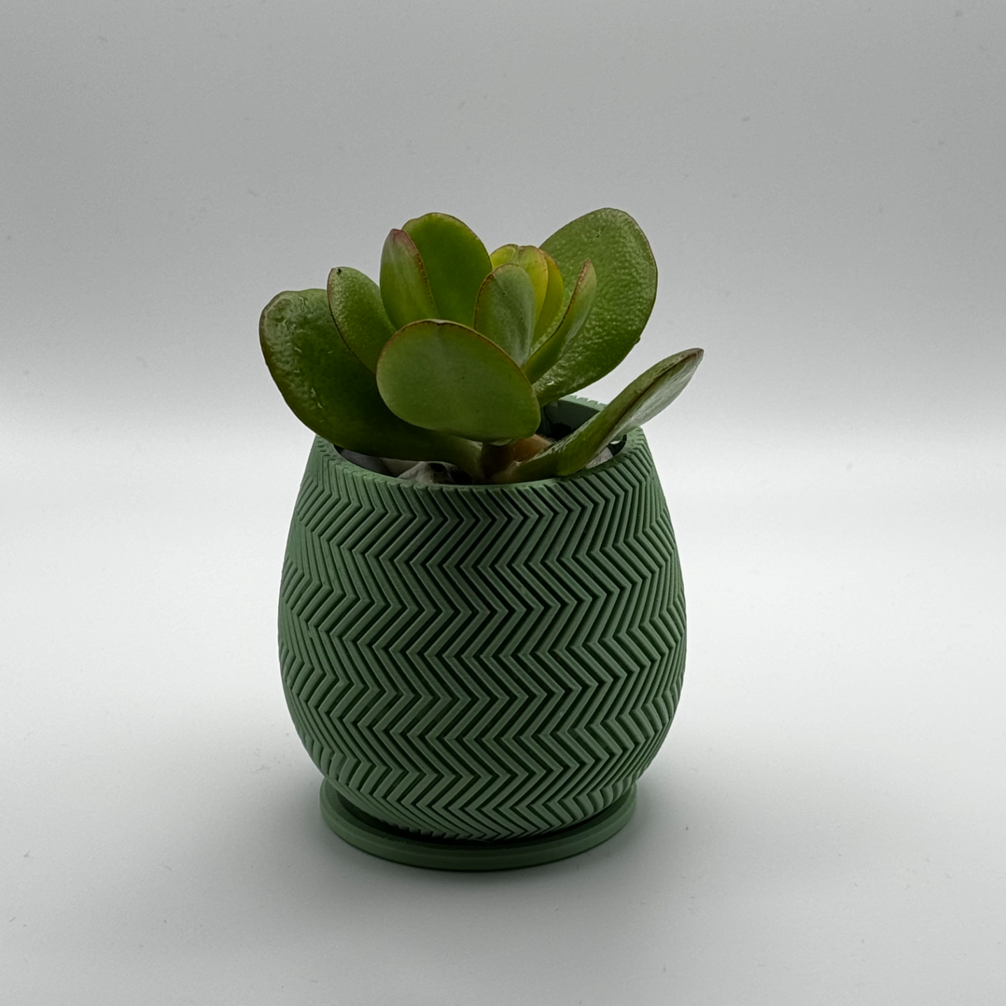 planter with zigzag pattern