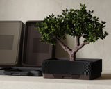 Bonsai Wave – Japandi miska na bonsaj s podnosom