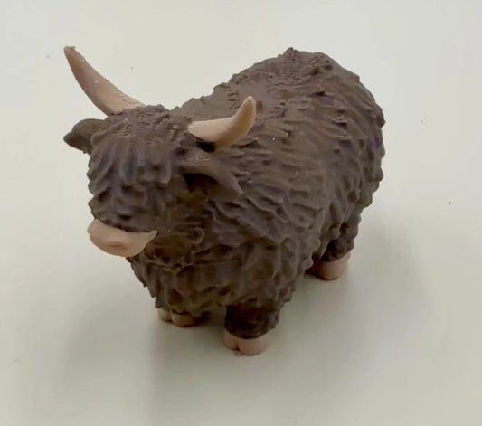 Highland Cow