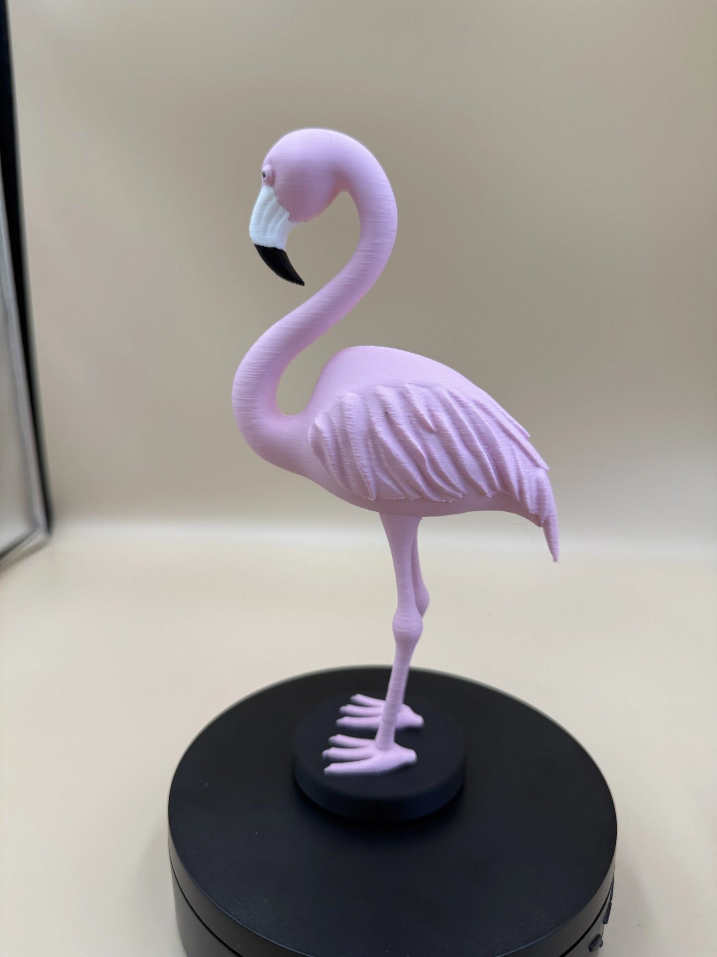 Plamienok Flamingo