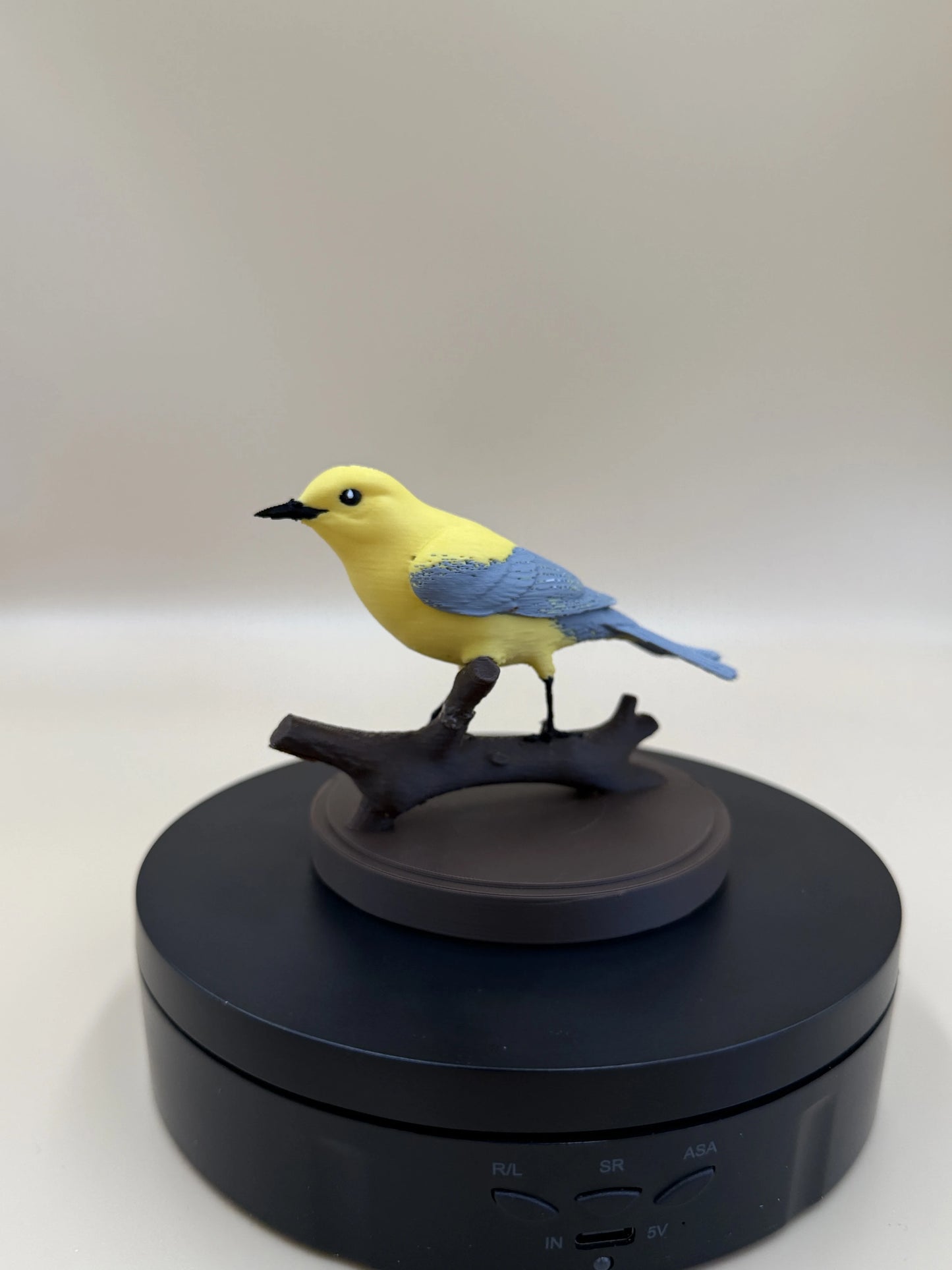 Sunlit Golden Warbler – spevavý vtáčik na konári