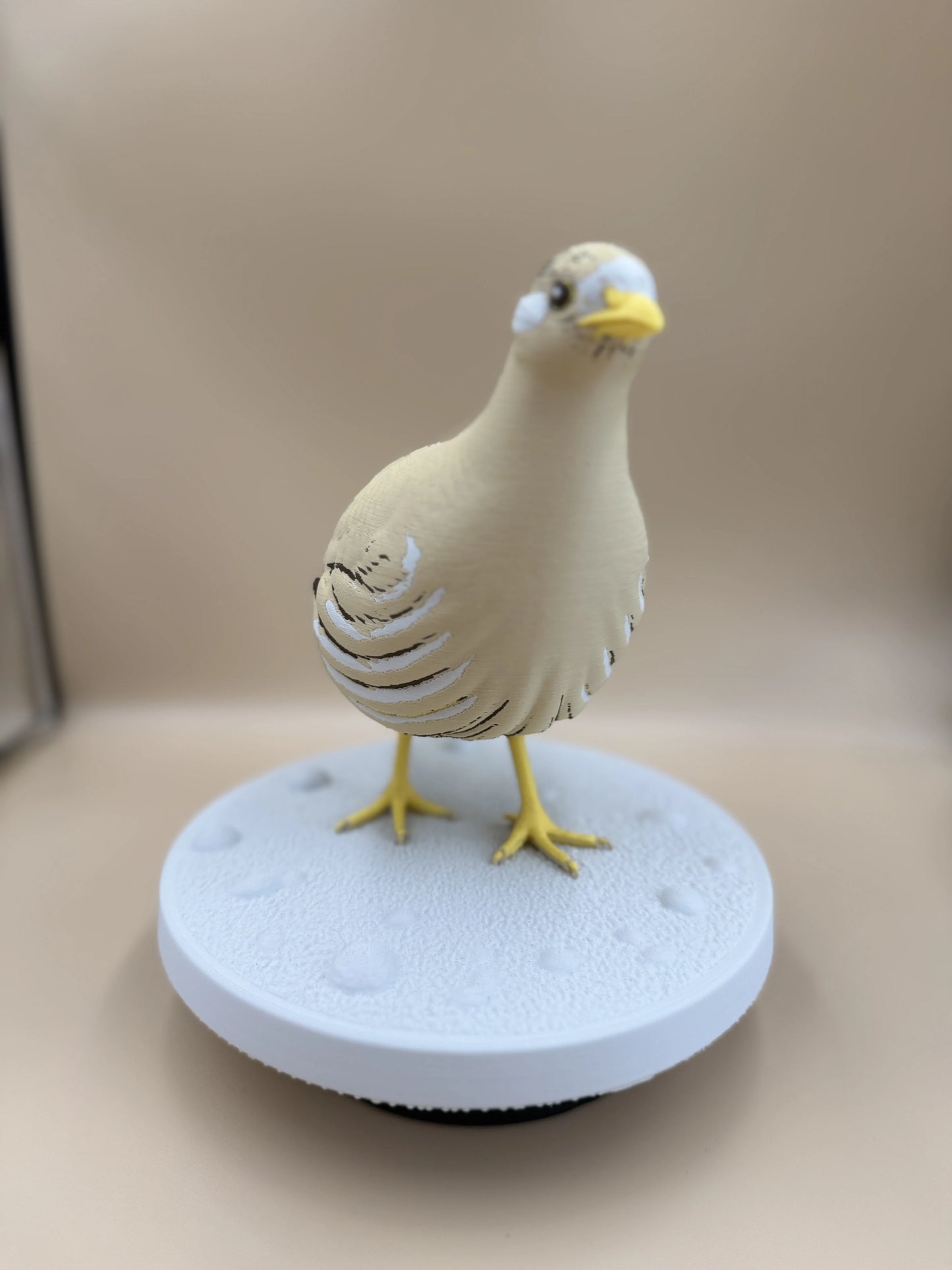Púštna jarabica (Ammoperdix heyi)