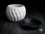 velar • planter
